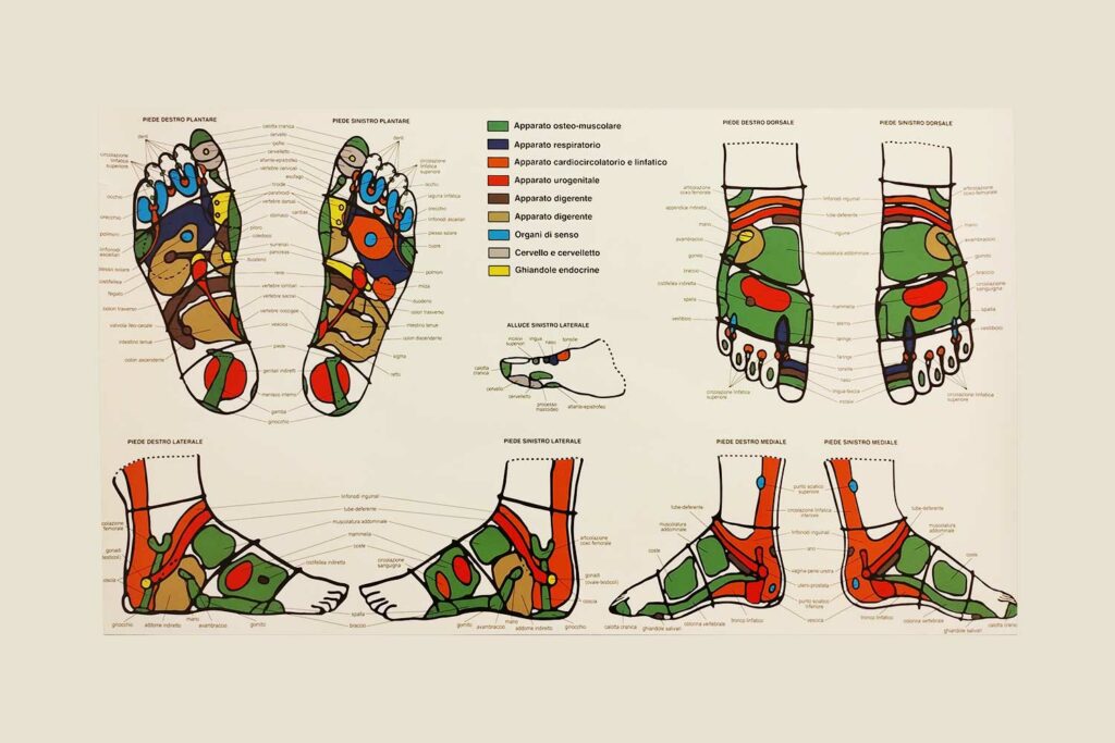 Mappa riflessologia plantare